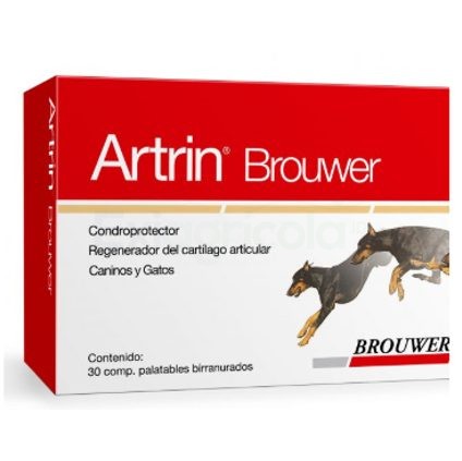 ARTRIN BROUWER