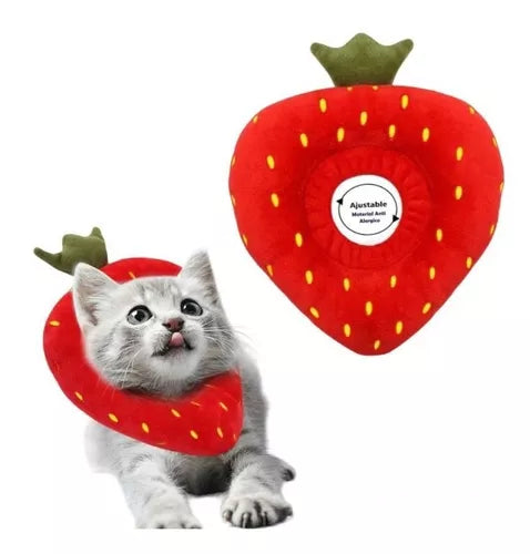 DONA / FRESA GATO S