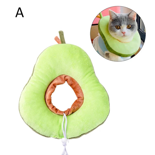 DONA / TOSTADA / AGUACATE L PERRO
