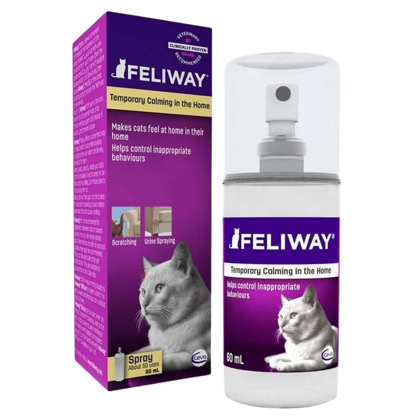EQUILIBRIO PROMO F KITTEN X 2 KG GRATIS FELIWAY SPRAY X 20 ML