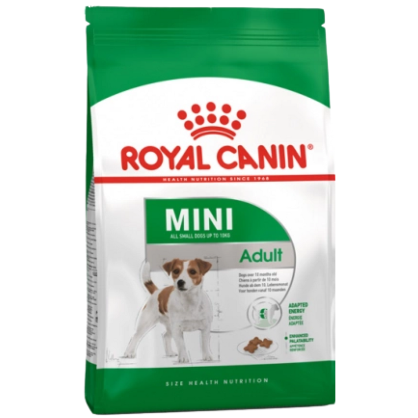 ROYAL SHN MINI ADULTO X 4 KG + 800 GRS