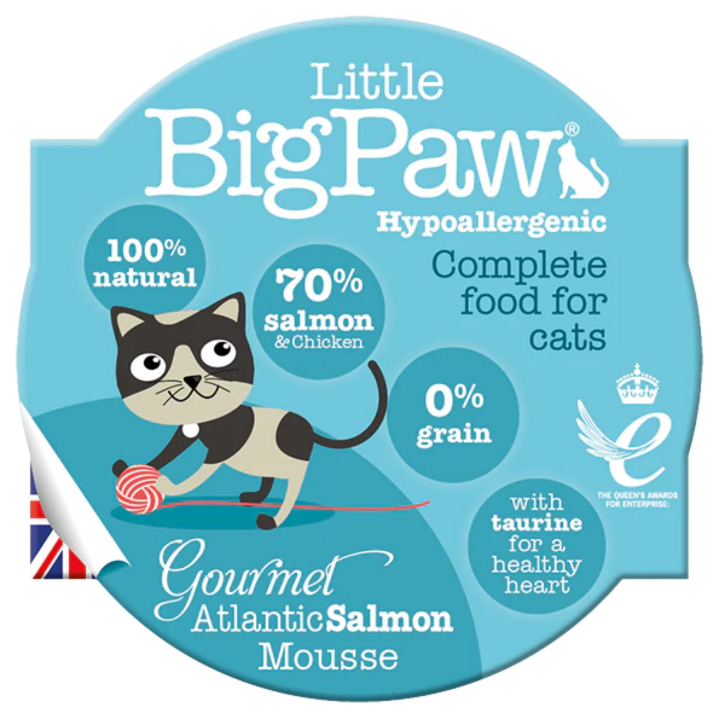 LITTLE BIG PAW F GOURMET ATLANTIC SALMON POUCH X 85 GR