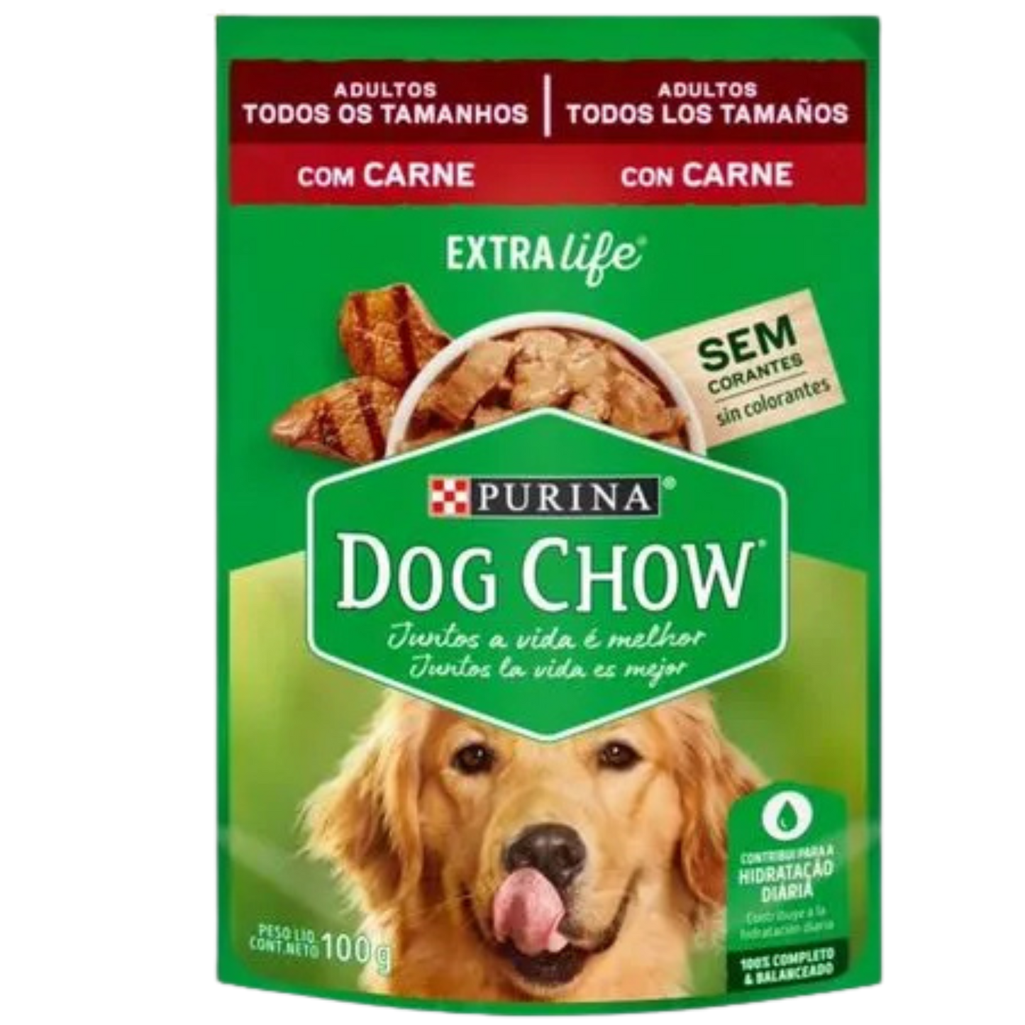 DOG CHOW POUCH TD TM CARNE 100 GR