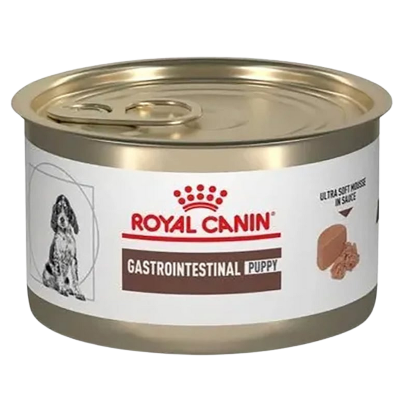 ROYAL VHN GI PUPPY WET X 0.145KG