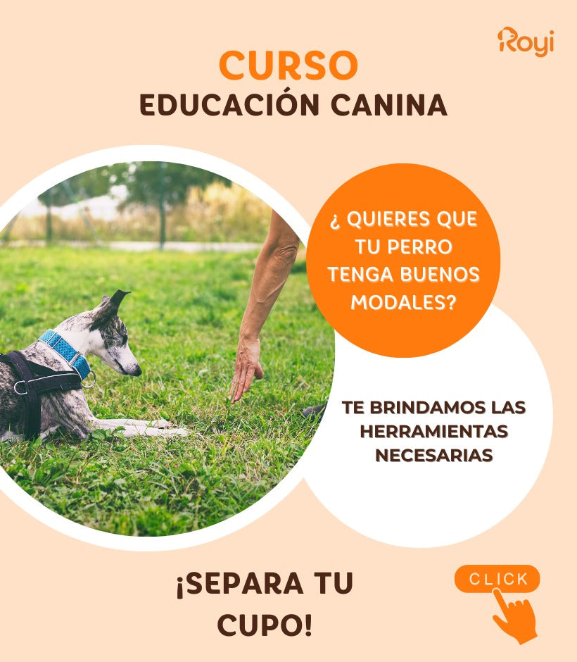 CURSO - EDUCACIÓN CANINA