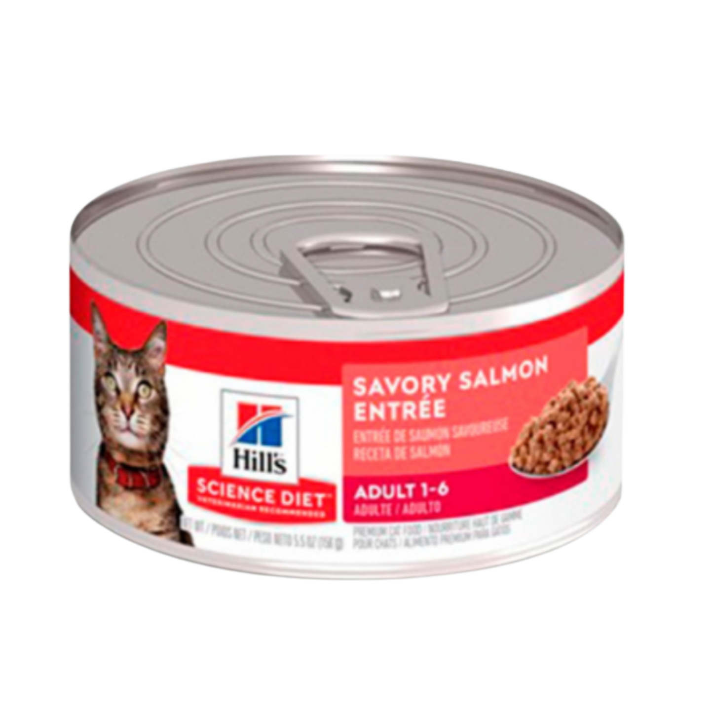 HILLS F ADULTO SALMON X 5.5 OZ