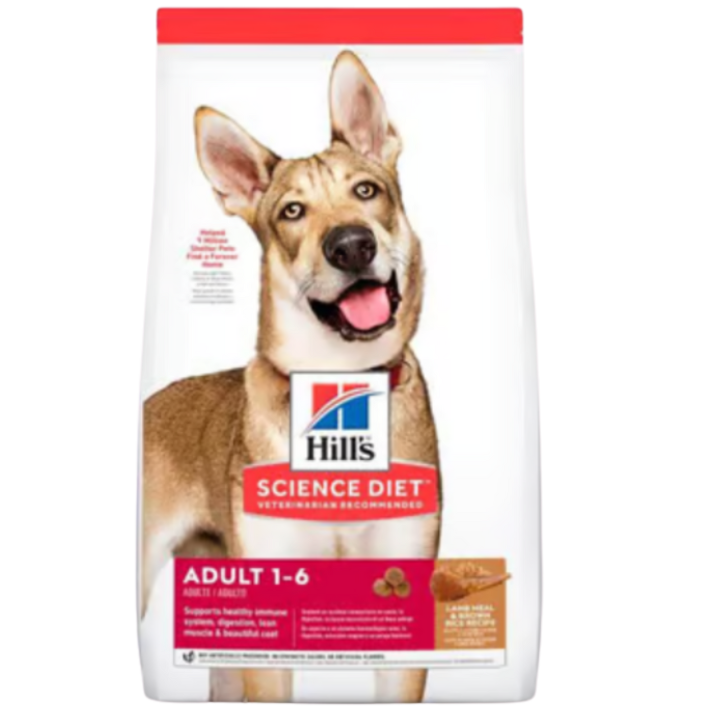 HILLS C ADULTO LAMB & RICE OB X 15.5 LB X 7.03 KG