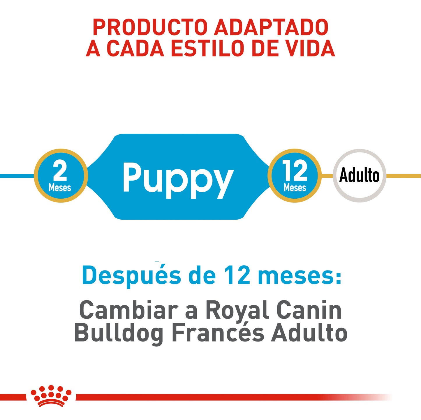 Royal Canin Bulldog Frances Puppy - Royi Pets