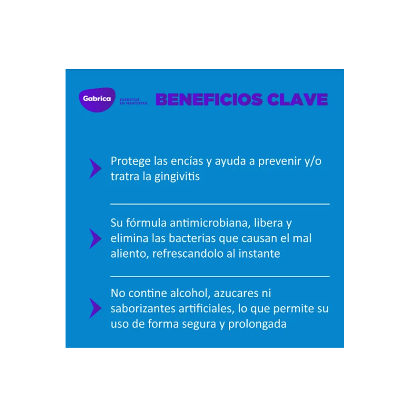 Dental Fresh Gato Enjuague - Royi Pets