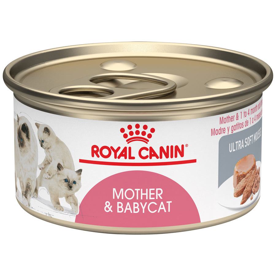 ROYAL FHN MOTHER & BABY CAT WET X 5.1 OZ X 0.145 G
