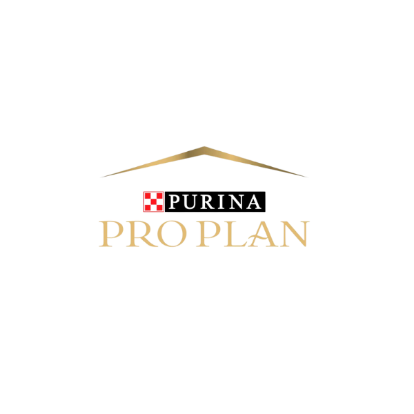 Pro Plan