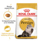 ROYAL FBN PERSIAN ADULTO X 10 KG