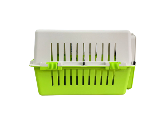 Guacal pequeño verde