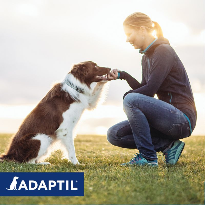 Adaptil Collar Calm - Royi Pets