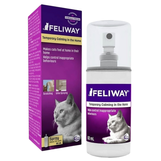 EQUILIBRIO PROMO F KITTEN X 2 KG GRATIS FELIWAY SPRAY X 20 ML
