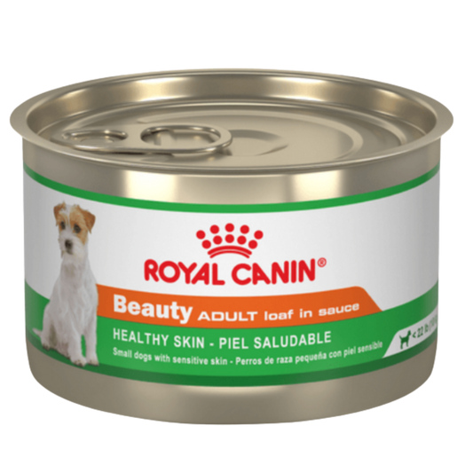 ROYAL CHN ADULTO BEAUTY WET X 0.150 / G 5.2 OZ