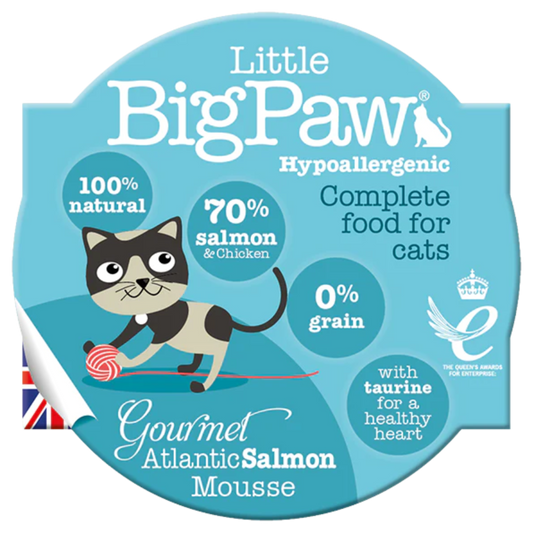 LITTLE BIG PAW F GOURMET ATLANTIC SALMON POUCH X 85 GR