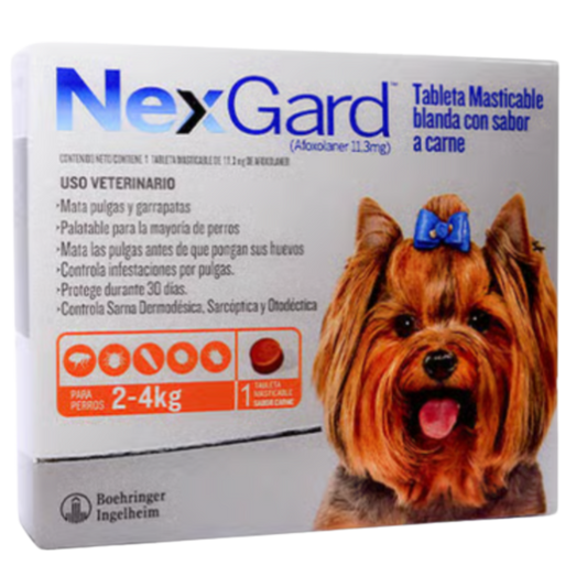 NEXGARD X 1TAB DE 2-4 KG PERROS S NARANJA