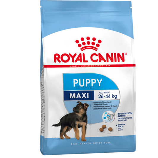 ROYAL SHN MAXI PUPPY X 15 KG