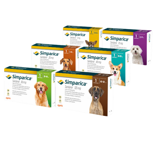 SIMPARICA 20 MG CAJA 1 TABS DE 5-10 KG PERROS