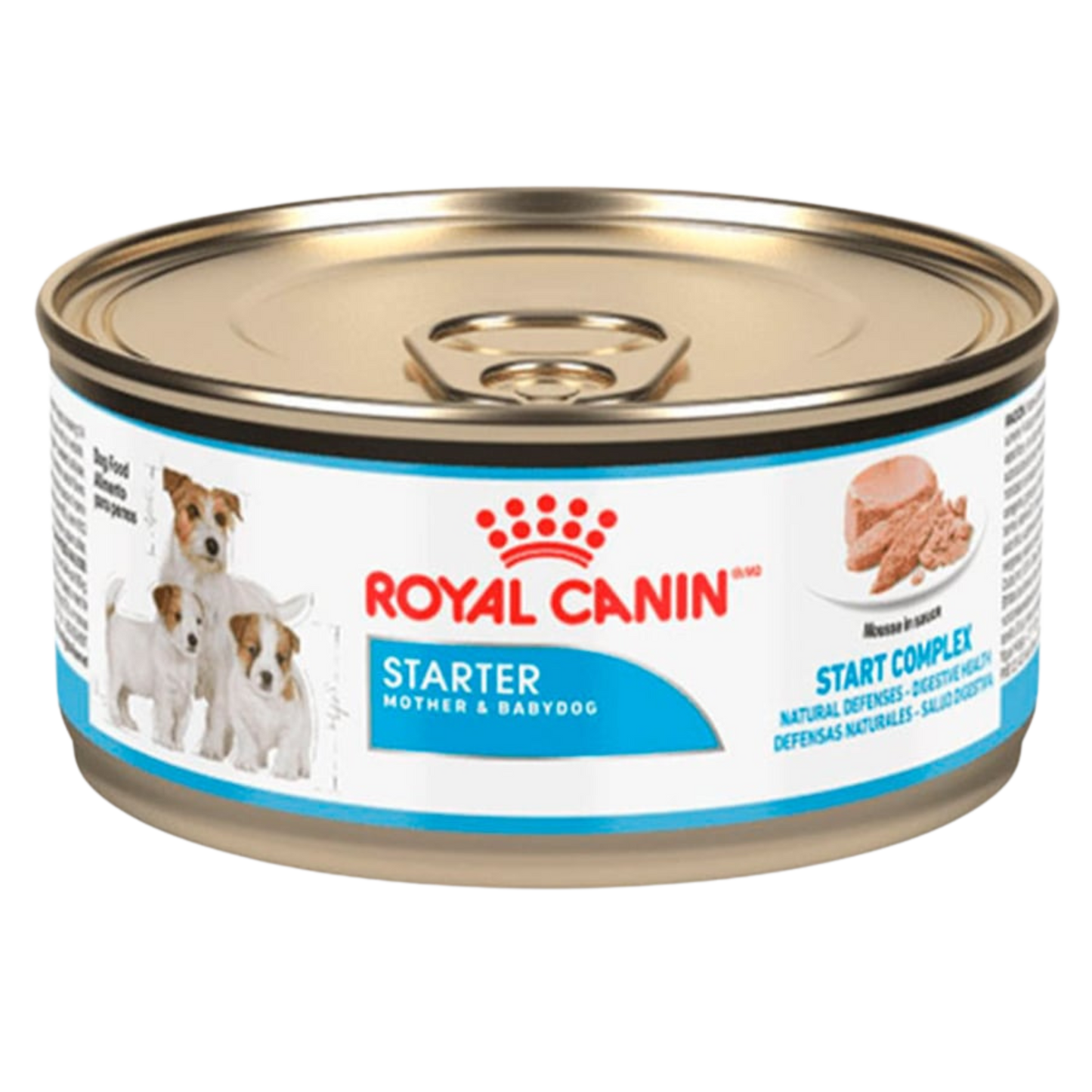 ROYAL SHN STARTER M&B DOG WET X 145 G