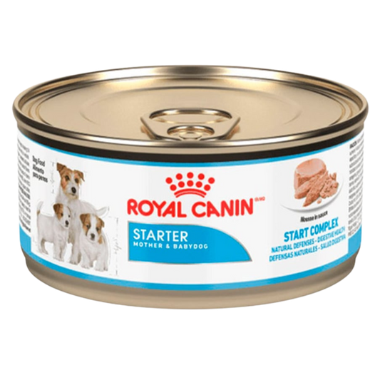 ROYAL SHN STARTER M&B DOG WET X 145 G