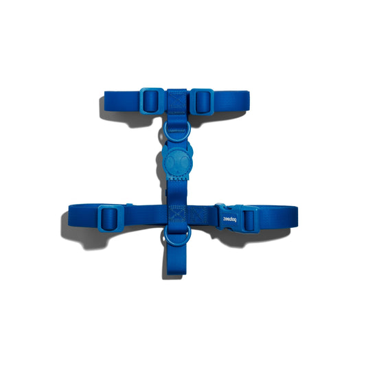 NEOPRO BLUE H-HARNESS SMALL