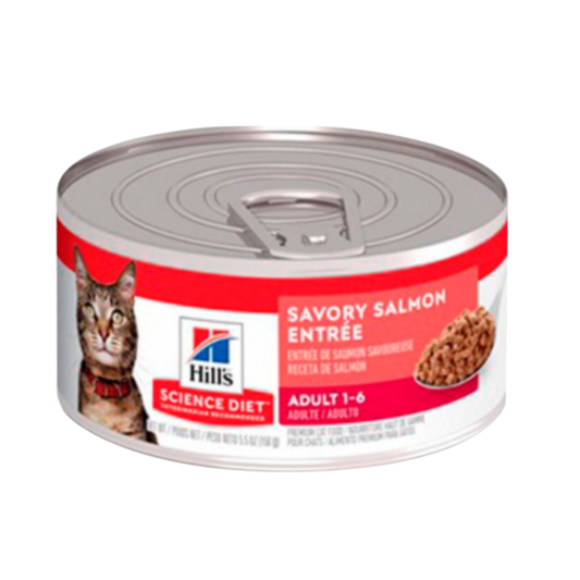 HILLS F ADULTO SALMON X 5.5 OZ