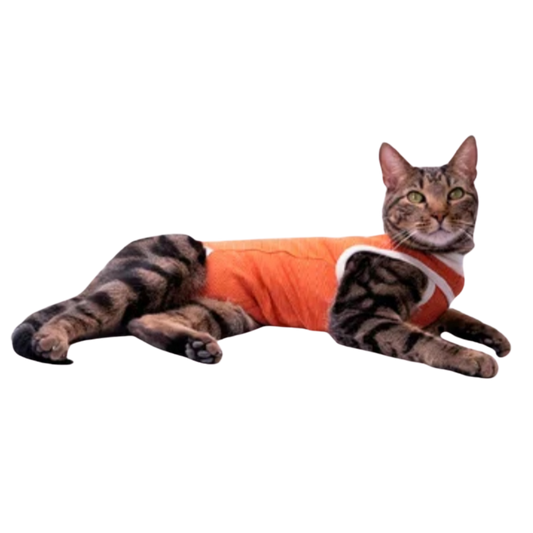 BODY POSTQUIRURGICO TALLA XXS GATO