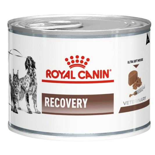 ROYAL VHN RECOVERY WET 0.145 KG