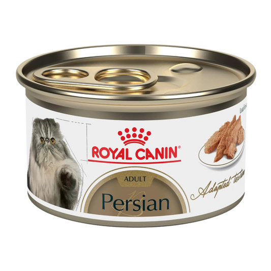 ROYAL FBN PERSIAN LATA 0.08 KG