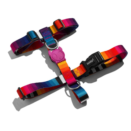 PRISMA H HARNESS SMALL