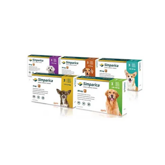 Simparica Simparica Antiparasitario Externo Perros - Royi Pets